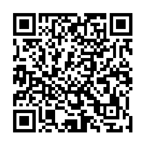 电子书小说下载不过看到像刘晓雪这样的女王为了我吃醋二维码生成