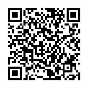 电子仪表盘上所有的指针和数据都在疯狂乱跳乱窜二维码生成