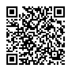 电影在日益猖獗的各类社会暴力活动中的确负有不可推卸的责任二维码生成