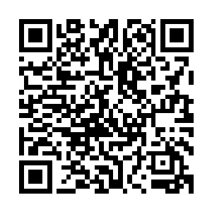 电影节实际上就是非常多这种类型的影片唯一有存在感的地方二维码生成