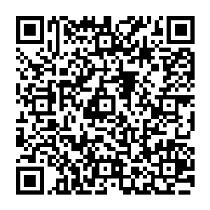 电影院里再次发生了低低的骚动――这个沉睡在营养舱中的蓝家伙――看起来是这么的真实二维码生成