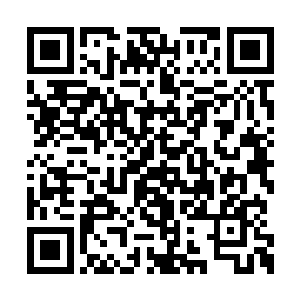 电影院里有着此前近半个月都见不到的小小热闹二维码生成