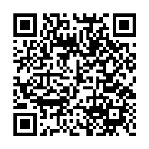 电线杆上到处都张贴这各种房屋出租合租的广告二维码生成