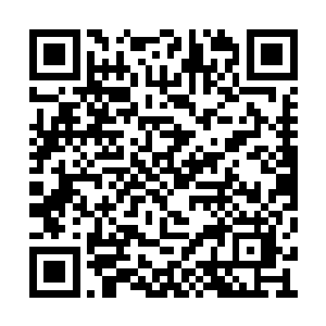 电脑屏幕上露出了一张西方白人男子的英伟脸庞二维码生成