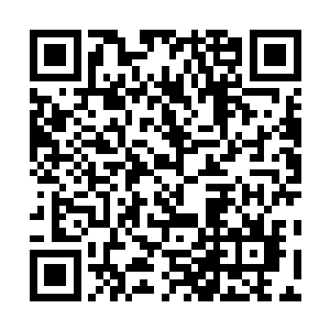 电脑已经开始播放欧阳志远和关诗琳在房间里喝酒的画面二维码生成