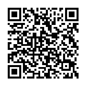 电脑里面有日本人在附近各种勘探几十年的数据二维码生成