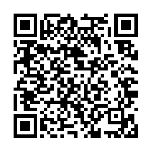 电视上报道的那些事情远没有真实发生的那般残酷二维码生成