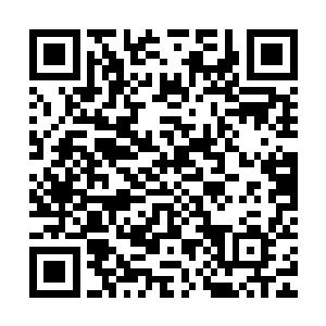 电视上都在报道青龙地产投资一百个亿开发东海市第一条商业街二维码生成