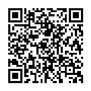 电视剧演员的发挥空间往往被束缚到一种模版化和异常化的呈现二维码生成