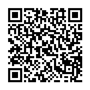 电视剧等等……是为数不多年收入可过千万的写手之一二维码生成