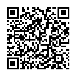 电视机前的观众们的注意力也是被宇天给吸引了二维码生成