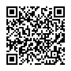 电话里又传来了那个让红雪和飘零思念不已的声音二维码生成