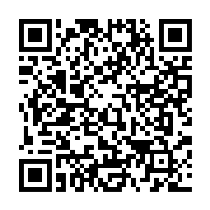 男主角的名字就叫秦洛――江心荷怎么可能不知道秦洛是谁二维码生成