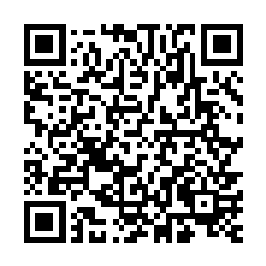 男人们热衷冒着危险摘这个其实都是为了讨好伴侣或者心上人二维码生成