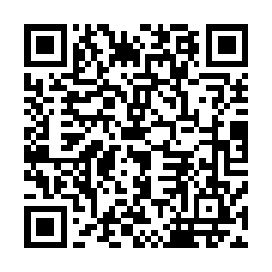 男人再次将磨秃了指甲的双手插入钢筋和混凝土之间的缝隙二维码生成