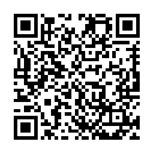 男人灼灼的眼神让林若溪下意识地把所有话又咽了回去二维码生成