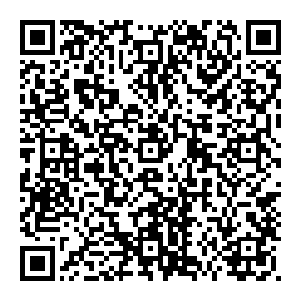 男人的尸体残破地堆成了一座小山他们眼神空洞面无表情嘴巴大张着五官扭曲到了极点死前显然是有着不同寻常的经历二维码生成