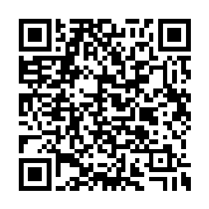 男孩那美好的笑容让正午的阳光都变得黯淡无光二维码生成