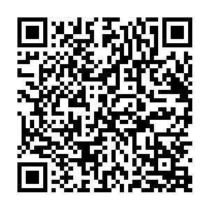 男性的尸体全都裸露着身体支离破碎像是被撕咬过的尸体上布满了恐怖的牙印二维码生成