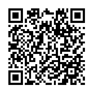 男爵级和子爵级的秘籍都不会有配套的相应战技二维码生成