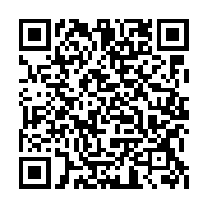 画儿紧张兮兮的伸出小胖手紧紧的捏着半张饼子二维码生成