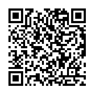 画出了一道道红色或者黄色或者蓝色或者绿色的环形线条二维码生成