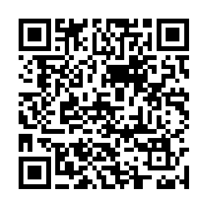 画面上出现了苗坤生带着几个干部进村入户的镜头二维码生成