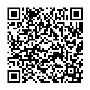 画面的视角顺着那道燃烧着的蓝色火光追上了那个魔族的苍穹骑士二维码生成