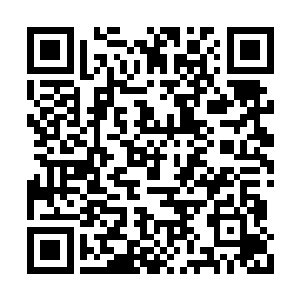 画面重新到了恶梦巫师要学徒们自相残杀的时候二维码生成