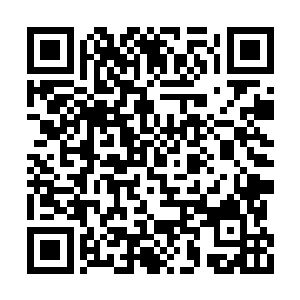 界死在她手里的原本三圣殿的少宗主就极为美貌二维码生成
