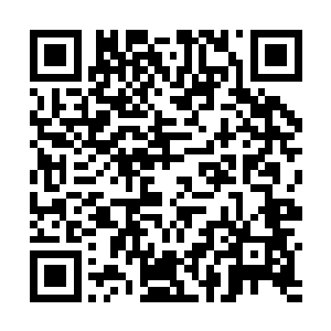 留下参与系统测试都是他在公司关系最为密切的一帮人二维码生成