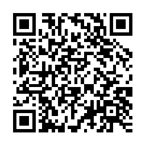 留下看守祭祀魔池的少量修罗魔灵正目光灼灼的站立在魔池周围二维码生成