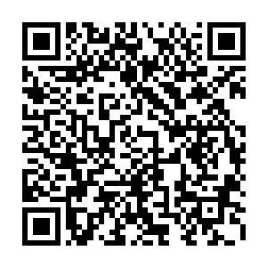 留在关中的将士纷纷开始朝着关下的关家军丢起了一块块大石块以及一根根木桩二维码生成