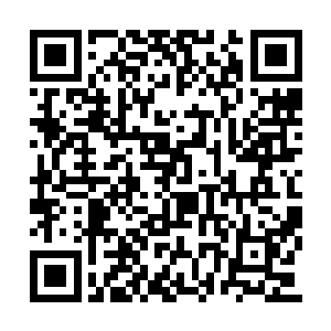 留在家里面味道实在是有那么一些太过于的厚重二维码生成