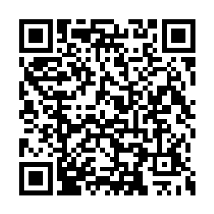 留在璃城至少还能让你弟弟平平安安的娶妻生子二维码生成