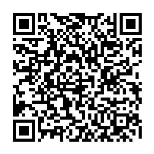 留在身边难道不怕闹出什么事端来么别到时候家里有几只蚊子都让我知道了二维码生成