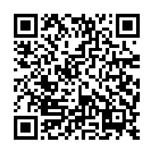 留守在上方宗主居所的那个宗师级巅峰的老者也出来了二维码生成