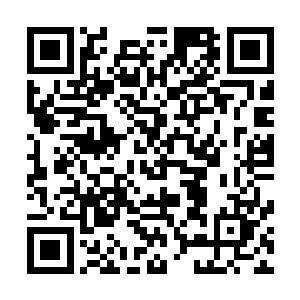 留守在外的原战任九风飞到他头顶上用小爪子扒拉他的头发二维码生成