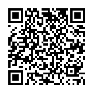 留守在延陵的那群人难道便没有一个会通知舅舅二维码生成