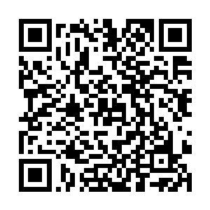 留待六扇门仵作和郡城衙门擅长此道的捕头前来处理二维码生成