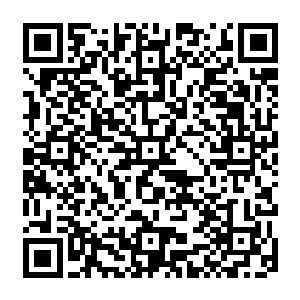 畜生 谁给你的胆子 敢在我茅山正天派胡作非为名滥杀无辜 是觉得自己活腻了吗 二维码生成