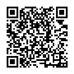 略感惊诧的目光停留在了那位嗜血学院的领队身上二维码生成