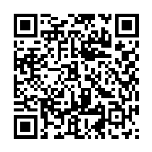 略显憔悴的凌彩衣浑身上下都还散发出一股子高傲二维码生成