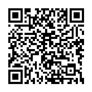 略显瘦削的肩部却把鼓胀的胸脯衬托得更加高隆二维码生成