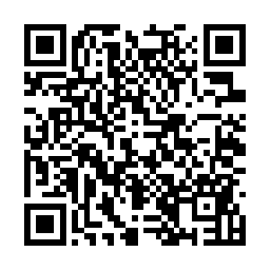 略显笨重的身形也依靠六条肢体末端的高速滑动轮二维码生成