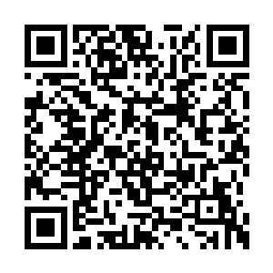 略有些黯淡的眼眸里满是洞悉一切的淡然与伤感二维码生成