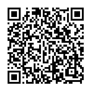 番☆茄小說網w`并且包括之前你与马掌柜所谈长时间提供情报信息交易二维码生成