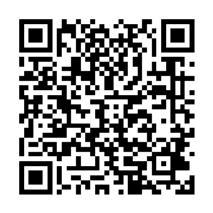 疏云让我协助独孤敏将在晋朝之中的势力都撤出来二维码生成