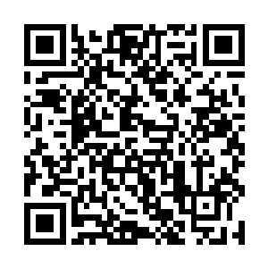 疯子的双脚之下也是出现了一个草木编制的移动底座二维码生成