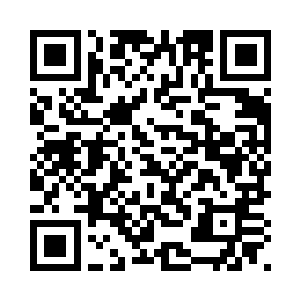 疯子终有一天会得到秦嫣然的认可二维码生成
